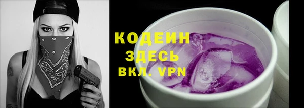 прущий лед Алзамай
