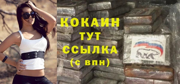 прущий лед Алзамай