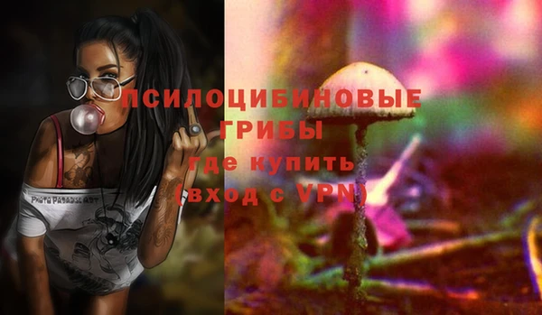 прущий лед Алзамай